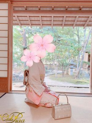 桜花(おうか)☆