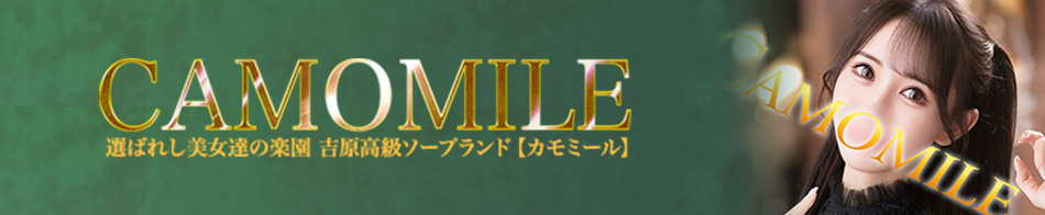 カモミール 求人バナー