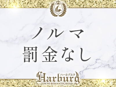 ハールブルク 特徴イメージ1