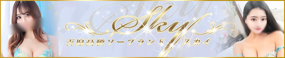 SKY(スカイ) 求人バナー