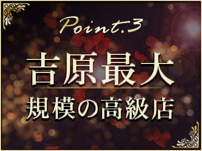 ヴェルサイユ 特徴イメージ1