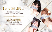 Le CELINU(ル・セリーヌ)