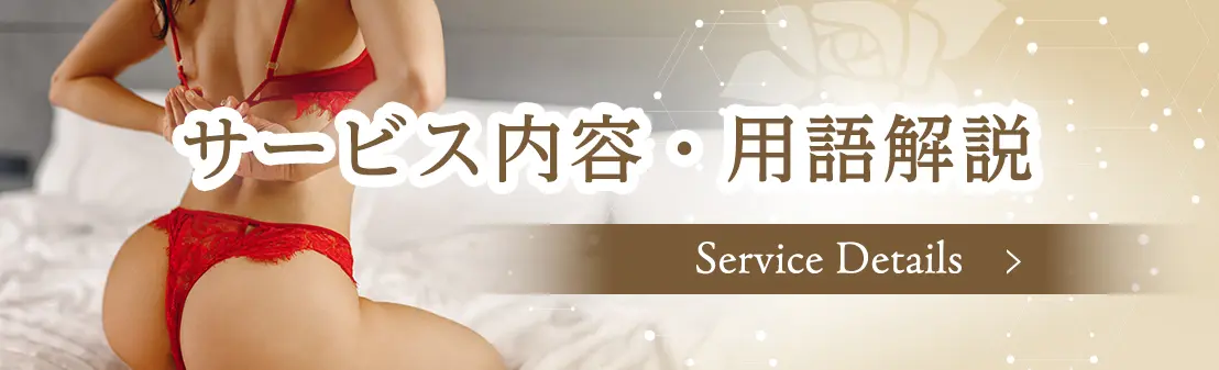 プレイ内容・専門用語